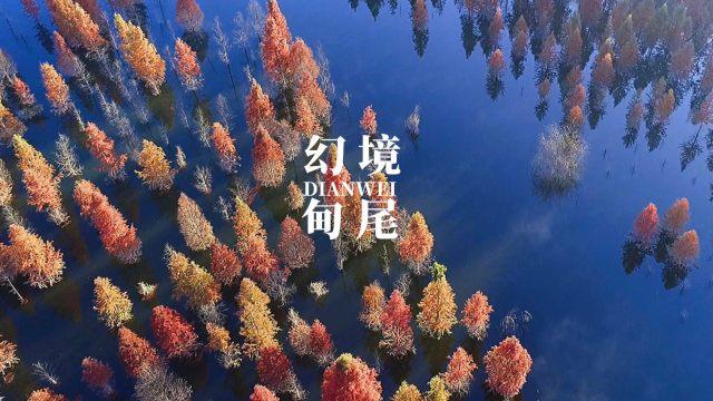 新春走基层｜返乡大学生“唱响”治沙致富的青春之歌